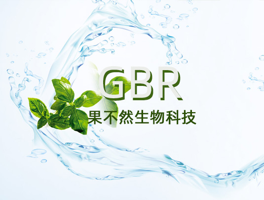 西安果不然生物科技有限公司網(wǎng)站設(shè)計(jì)
