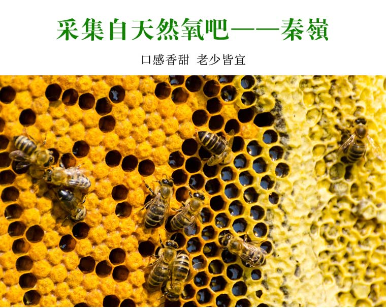 秦嶺天然蜂蜜網(wǎng)絡(luò)營(yíng)銷