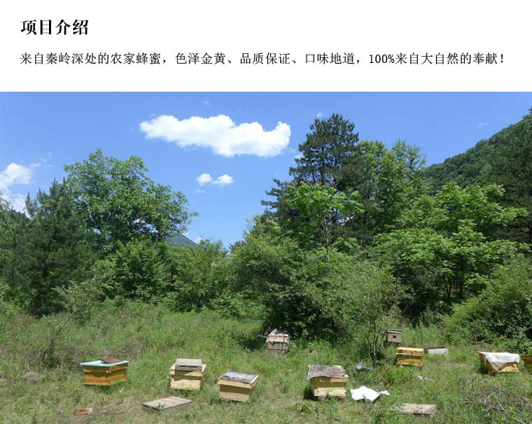 秦嶺天然蜂蜜網(wǎng)絡(luò)營(yíng)銷