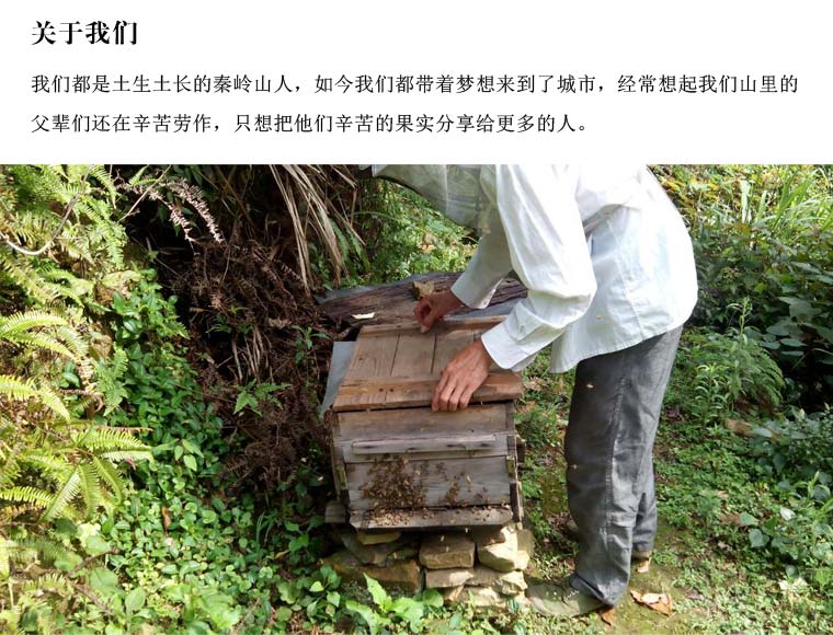 秦嶺天然蜂蜜網(wǎng)絡(luò)營(yíng)銷