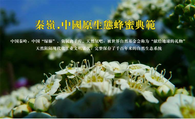秦嶺天然蜂蜜網(wǎng)絡(luò)營(yíng)銷
