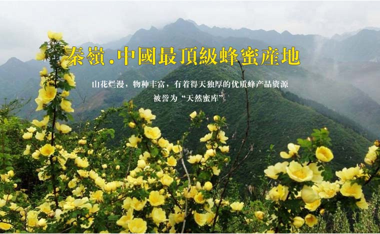 秦嶺天然蜂蜜網(wǎng)絡(luò)營(yíng)銷