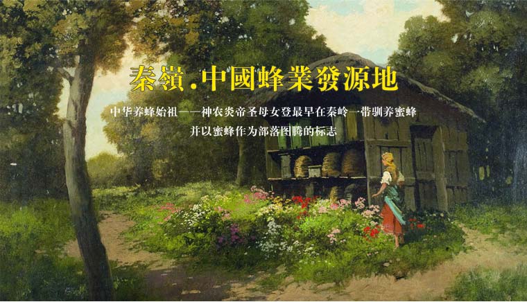秦嶺天然蜂蜜網(wǎng)絡(luò)營(yíng)銷