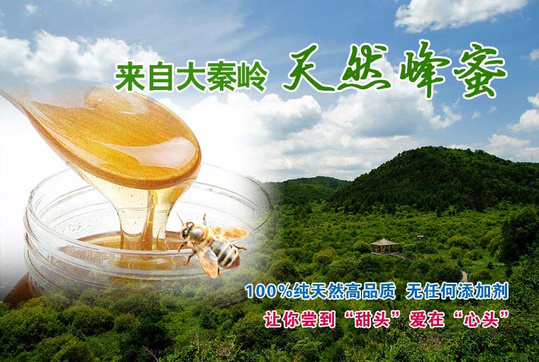 秦嶺天然蜂蜜網(wǎng)絡(luò)營(yíng)銷