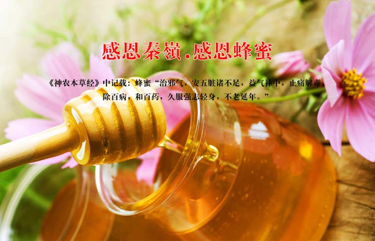 秦嶺天然蜂蜜網(wǎng)絡(luò)營(yíng)銷