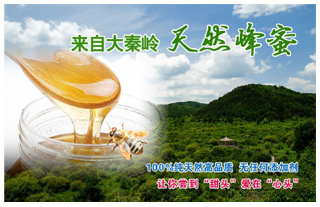 秦嶺天然蜂蜜網(wǎng)絡(luò)營(yíng)銷